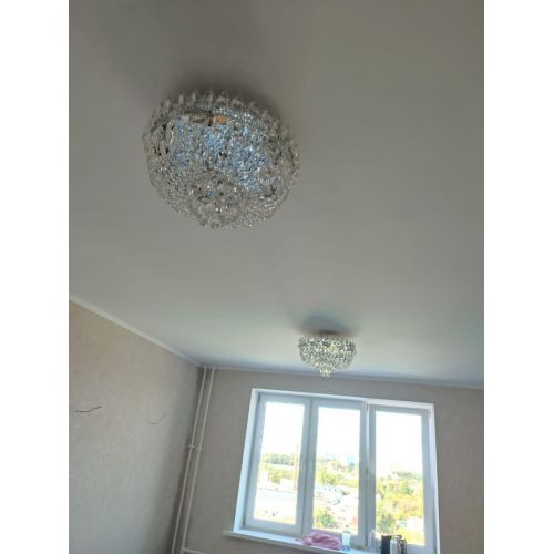 Люстра Астра Корона №5 в Ижевске Гусь Хрустальный