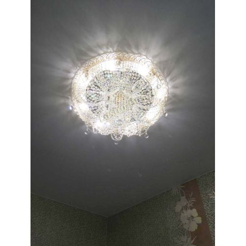 Люстра Вероника в Ижевске Гусь Хрустальный